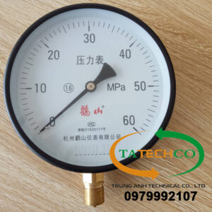 Đồng hồ áp 0-60MPa